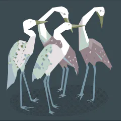 اقتصاد نو
